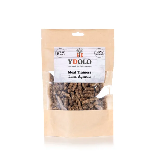 Ydolo trainers Lam